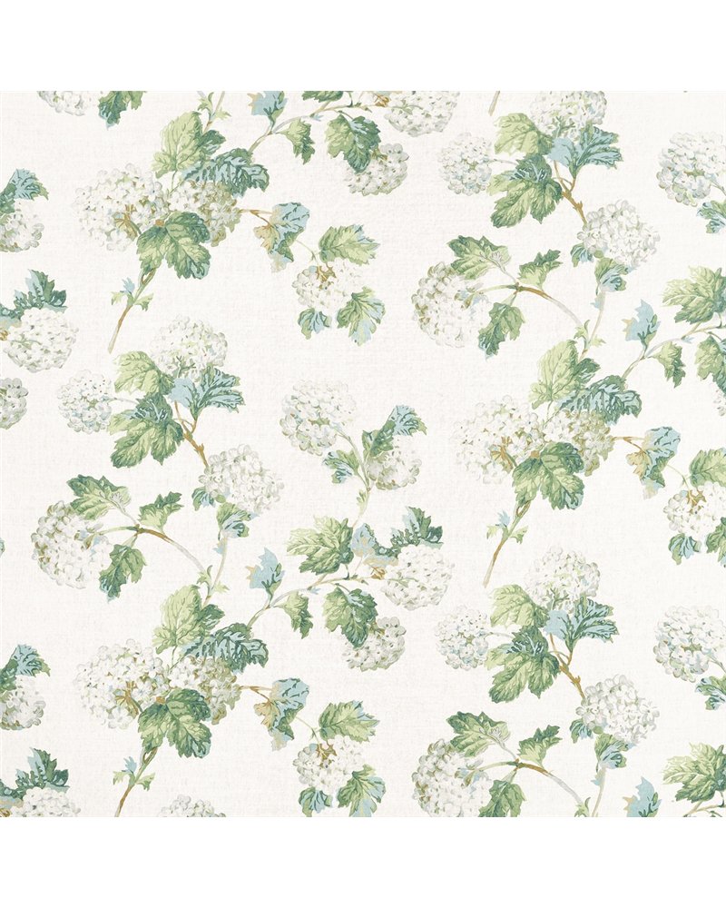 Sussex Hydrangea White and Green AF57849