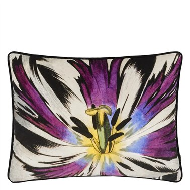 ECLOSION AGATE CCCL0659
