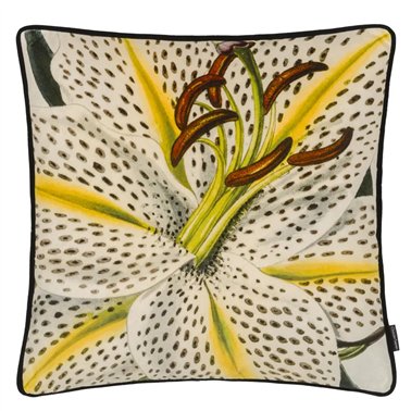 FLOWERED CRAIE CCCL0658