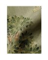 Field Maple Sage TFIESAG
