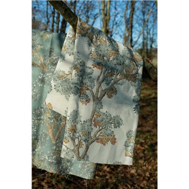 Field Maple Aqua TFIEAQU