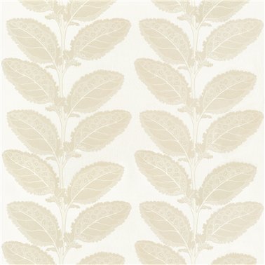 Lacinato Birch F912041