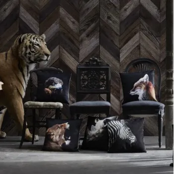 IMG Animales