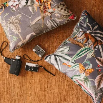 IMG EXOTIC