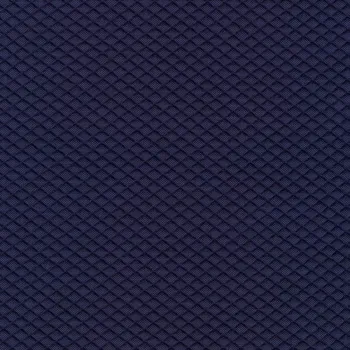 IMG MOSAIC 2